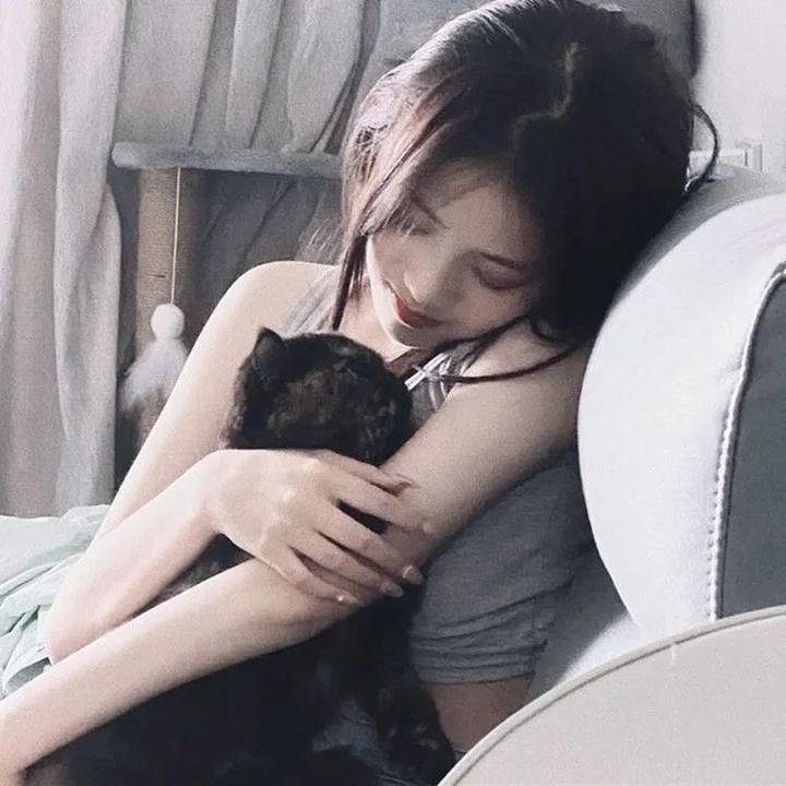 双雄斗智海报